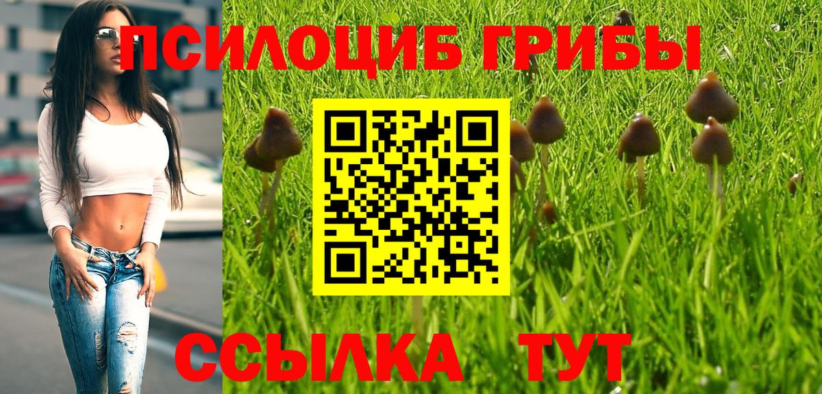 наркота  Вход с VPN  Жигулёвск  Галлюциногенные грибы прущие грибы 