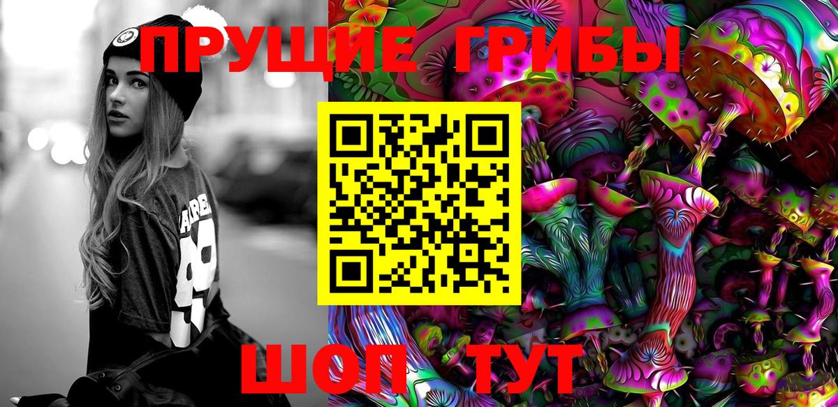 Псилоцибиновые грибы Psilocybe Жигулёвск